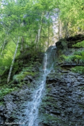 Wasserfall im Grünen-1020847